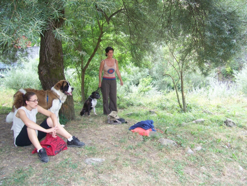  Image name: Calcio19.jpg 
 width: 800 pixel 
 height: 601 pixel 
 Size: 557998 bytes 
 Click to enlarge 